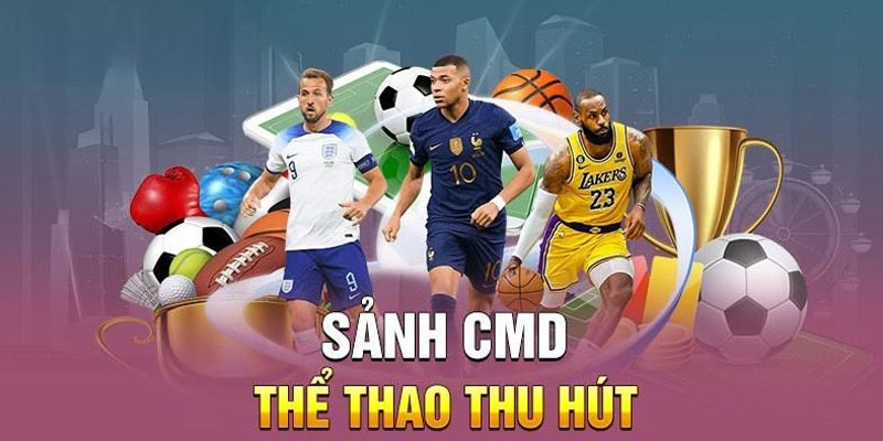 Giới thiệu sảnh CMD thu hút với giao diện web dễ sử dụng